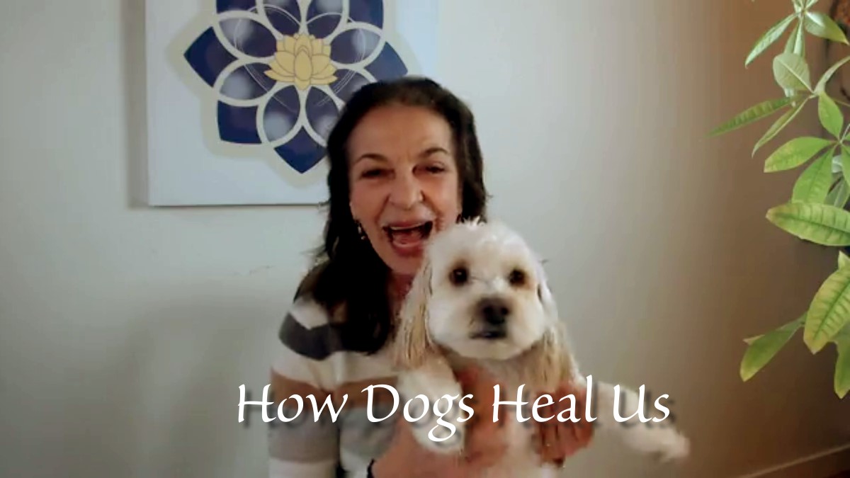 How Dogs Heal Us